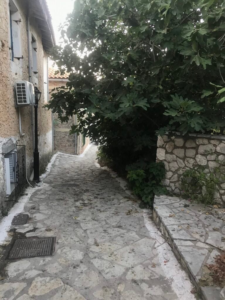 Narrow stone-paved lane shaded by a fig tree between houses in Agios Nikitas
